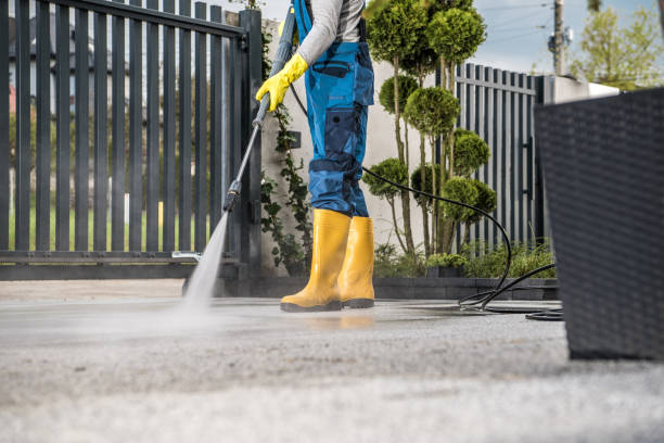 Best Rust Removal  in Burlington, IA