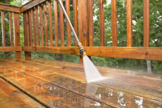 Best Animal Enclosure Cleaning  in Burlington, IA